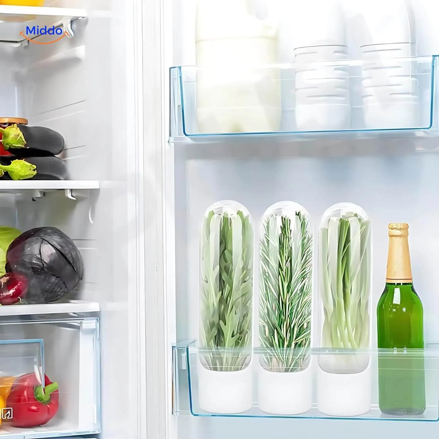 FreshHerbKeeper™ | Stockage Réfrigéré pour les Herbes comme la Coriandre, le Persil et Plus