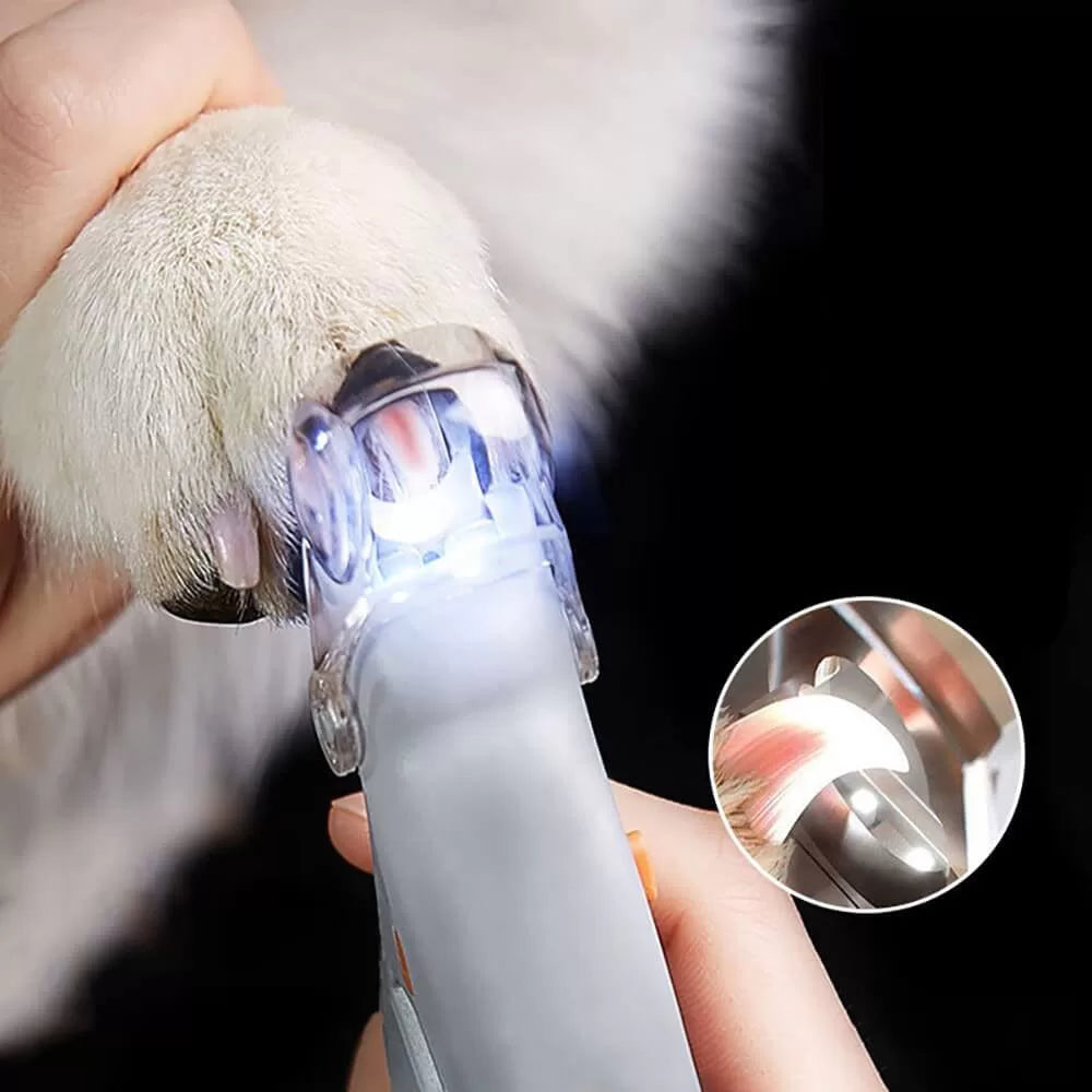 Coupe-ongles pour chiens avec lumière LED