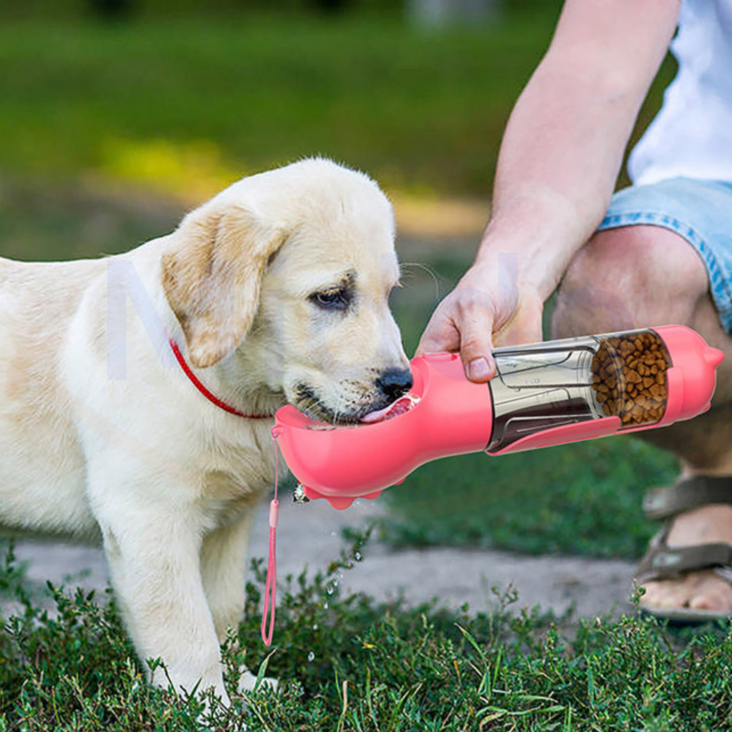 Furry Feeder™ | La Gourde 5-en-1 pour Votre Chien !