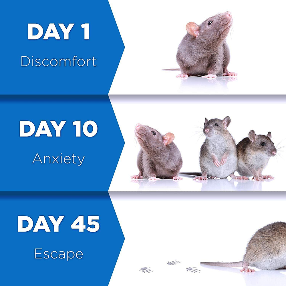 Pest Reject™ | Dites Adieu aux Insectes et Rongeurs !