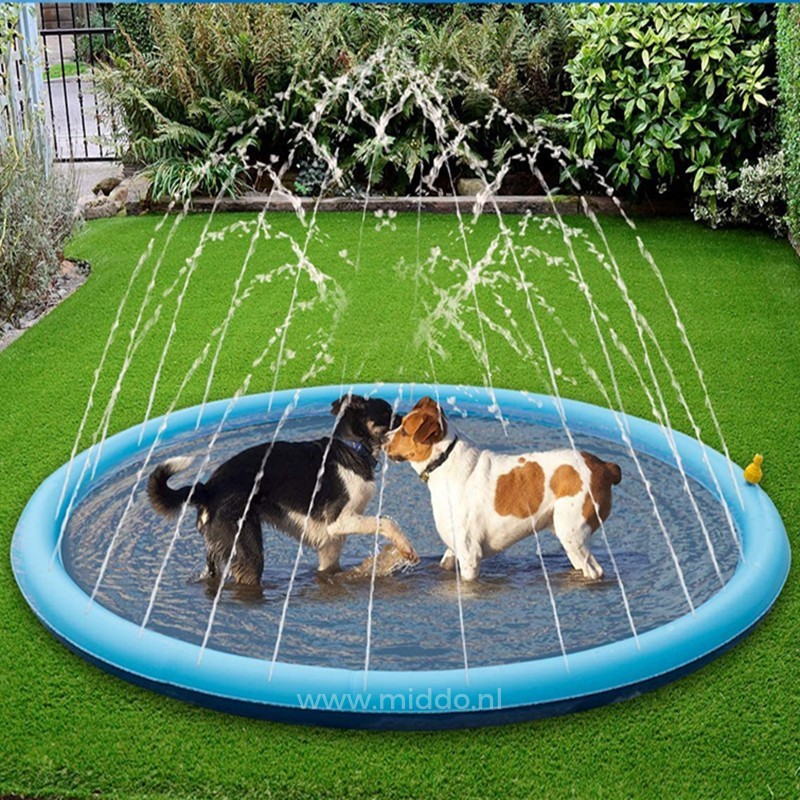 SplashZone™ : Plaisir rafraîchissant pour enfants et animaux !